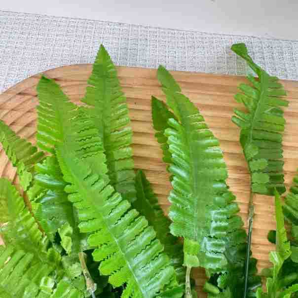 أعواد سرخس اصطناعية بطول 17.72 - مراجعة Wedding Solution وسعره